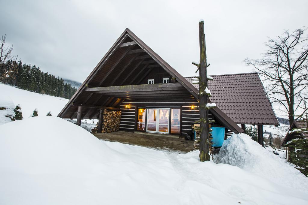 Chata Pod Lipami Hotel Rokytnice nad Jizerou Eksteriør billede