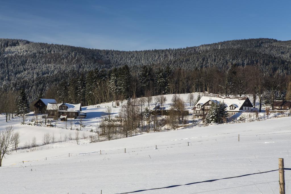 Chata Pod Lipami Hotel Rokytnice nad Jizerou Eksteriør billede